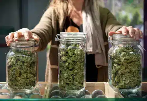 LEGAL ACCESS TO CANABIS